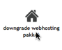 Icoon downgraden naar hosting pakket